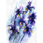 Vibrant Iris